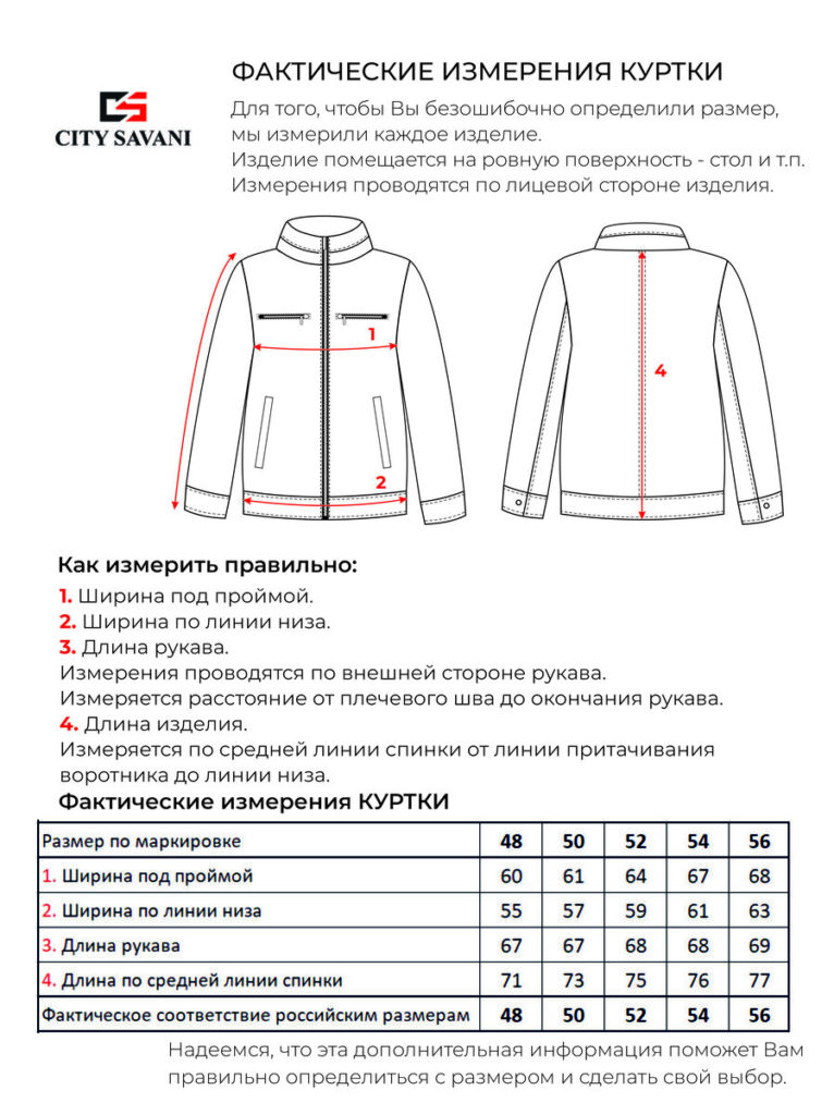 ветровка мужская синий 10
